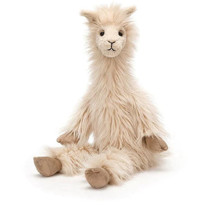 Luis Llama