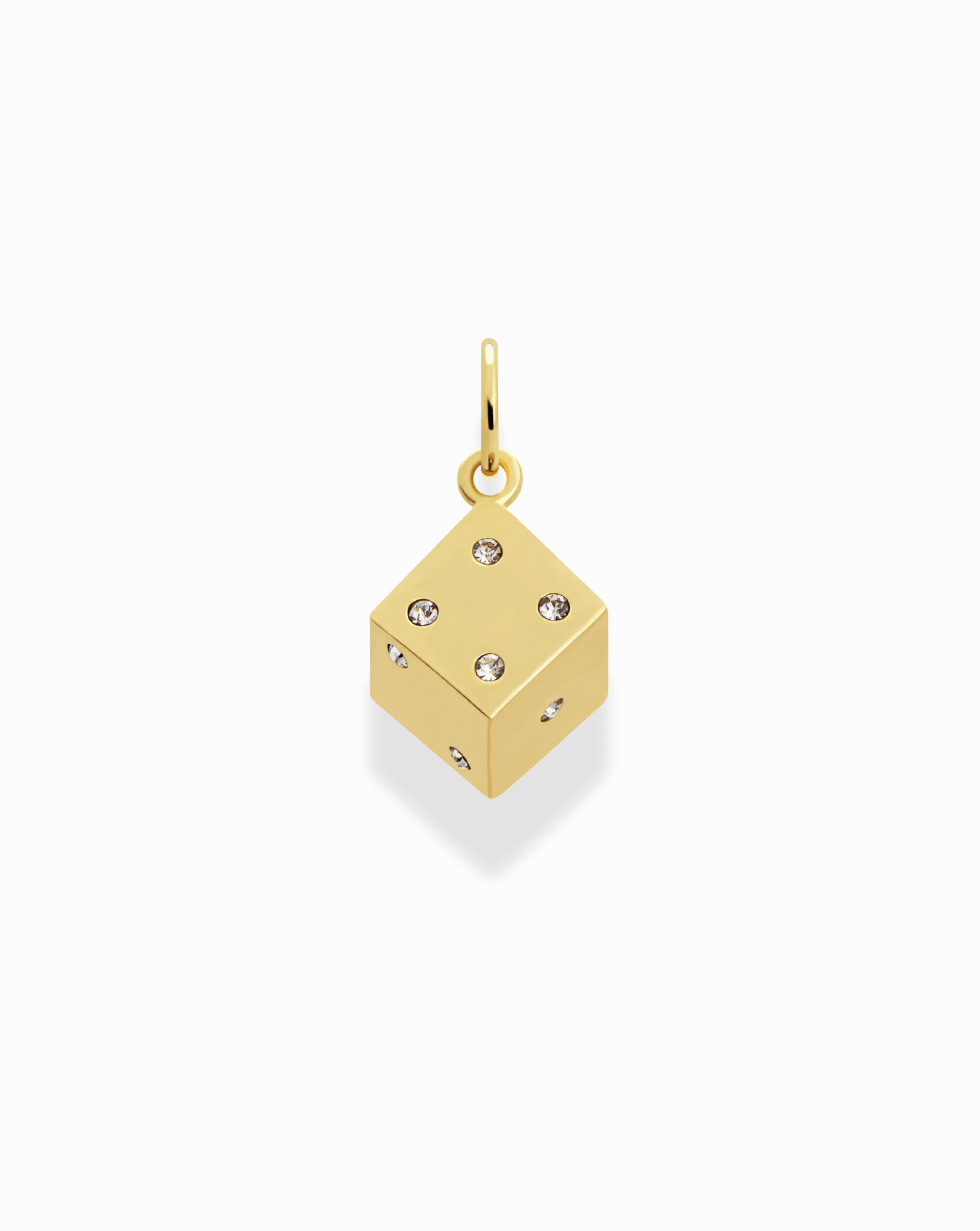 Jenna Dice Charm - Box Turtle