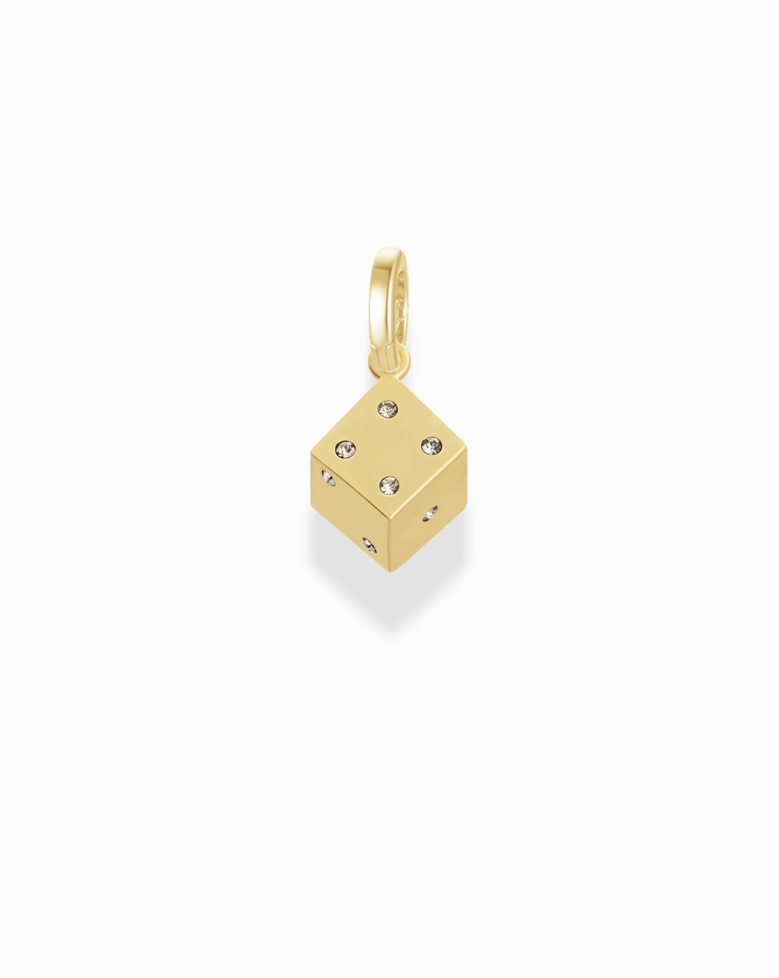 Jenna Dice Charm - Box Turtle