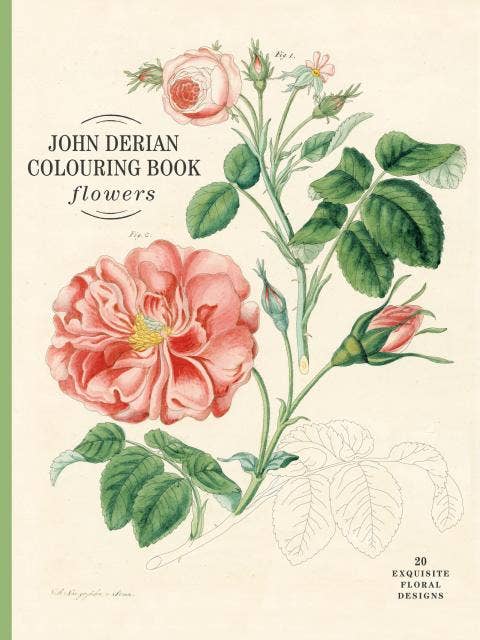 John Derian Colouring Book: Flowers - Box Turtle