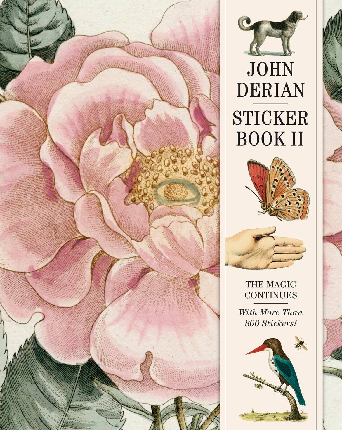 John Derian Sticker Book II - Box Turtle