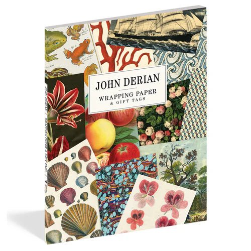 John Derian Wrapping Paper & Gift Tags - Box Turtle