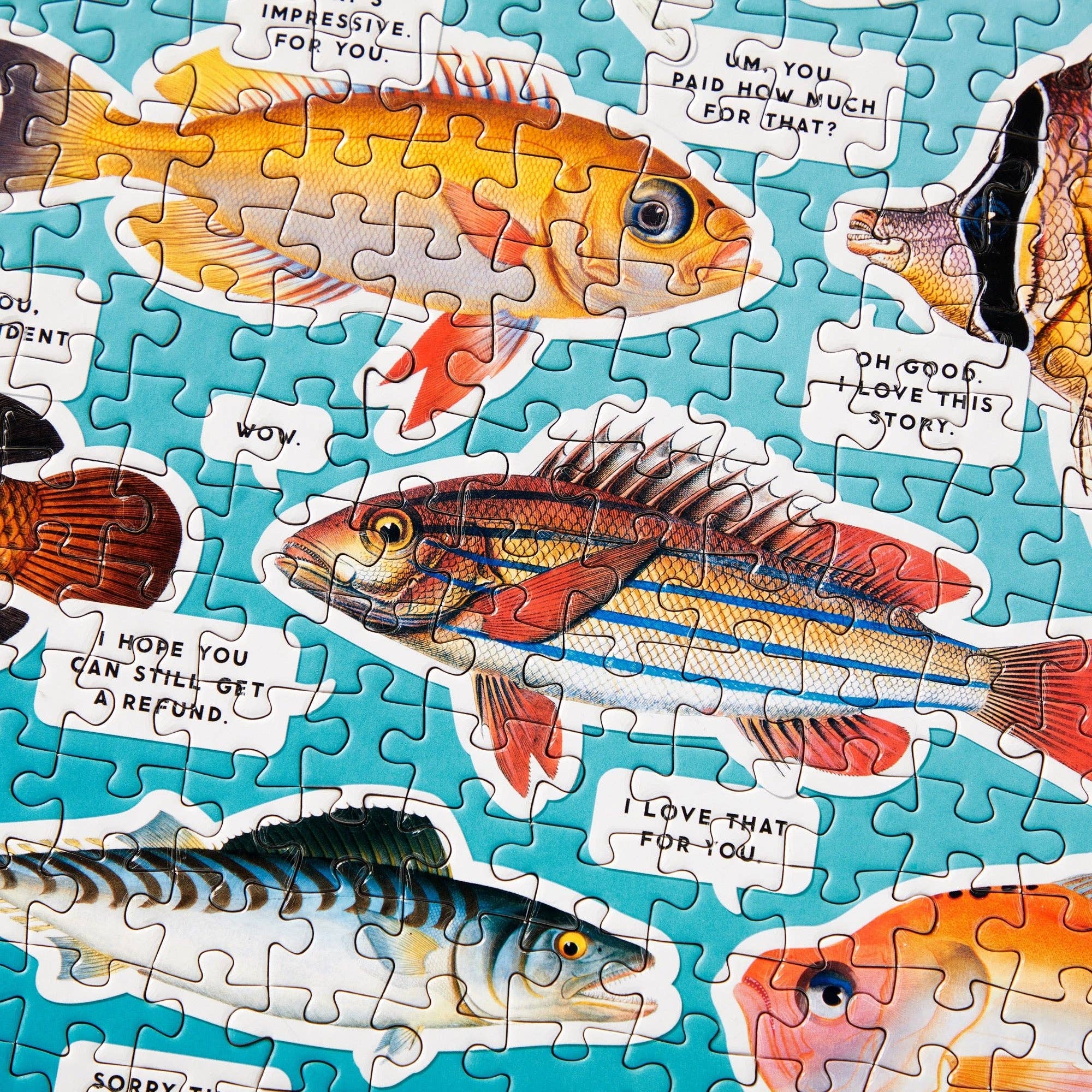 Judgy Fish 1000 Piece Puzzle - Box Turtle