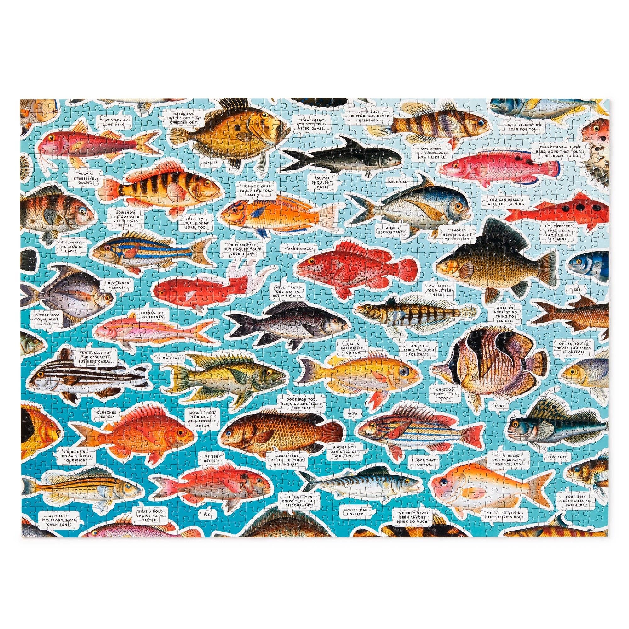 Judgy Fish 1000 Piece Puzzle - Box Turtle