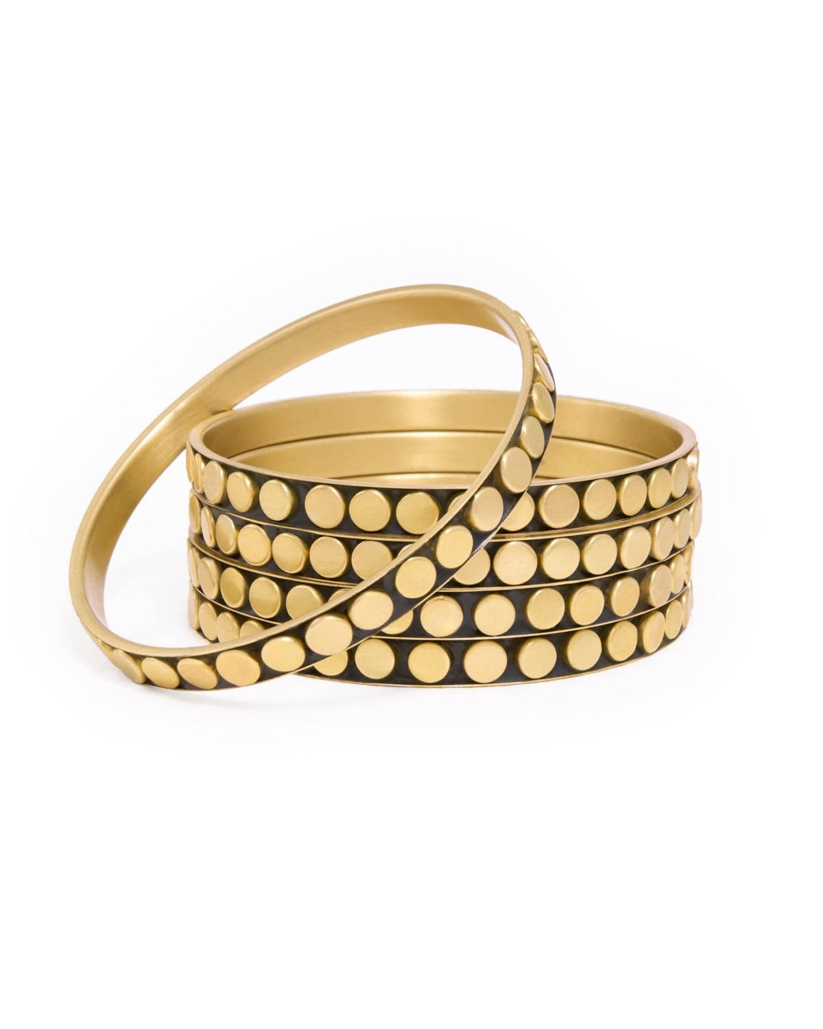 Katherine Bangle - Box Turtle