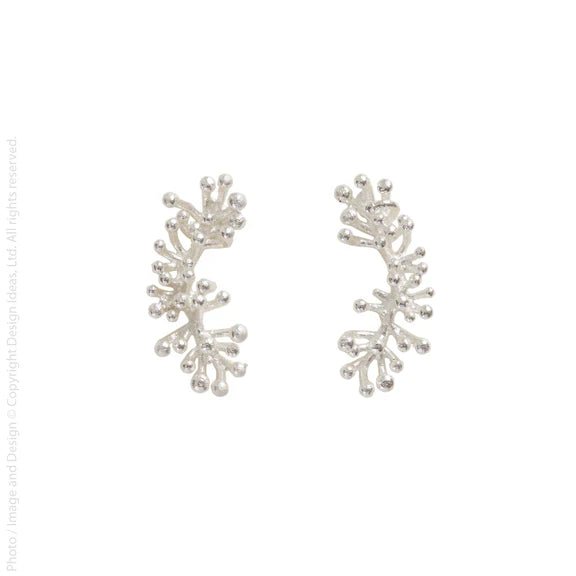 Kerang Earrings - Box Turtle