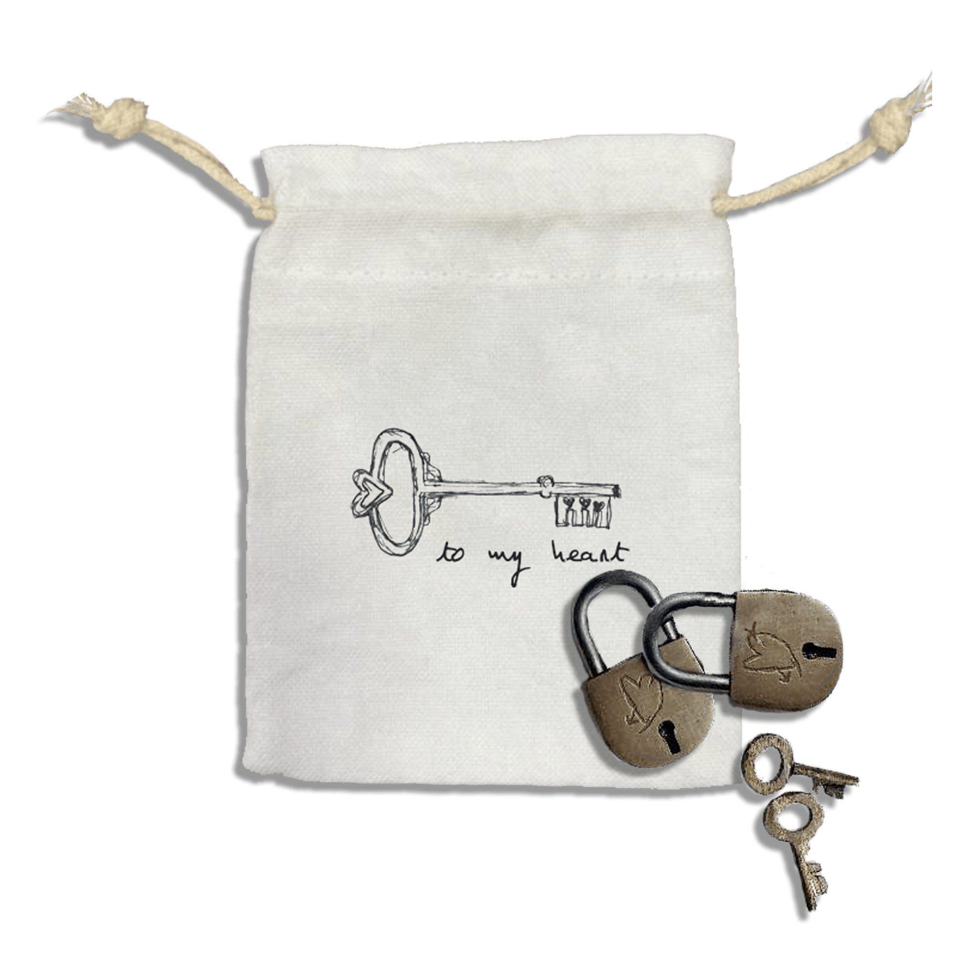 Key to My Heart - Box Turtle