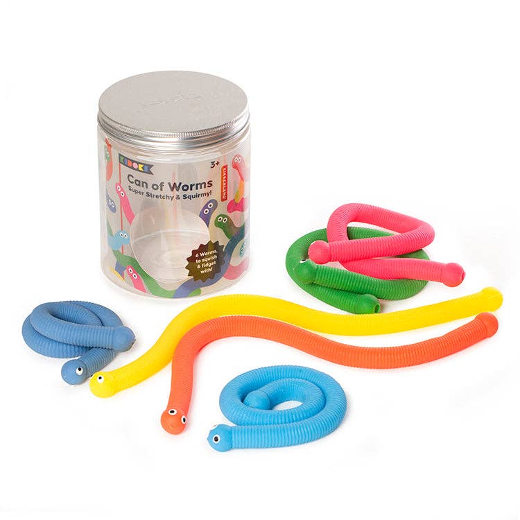 Kidoki Can of Worms - Box Turtle