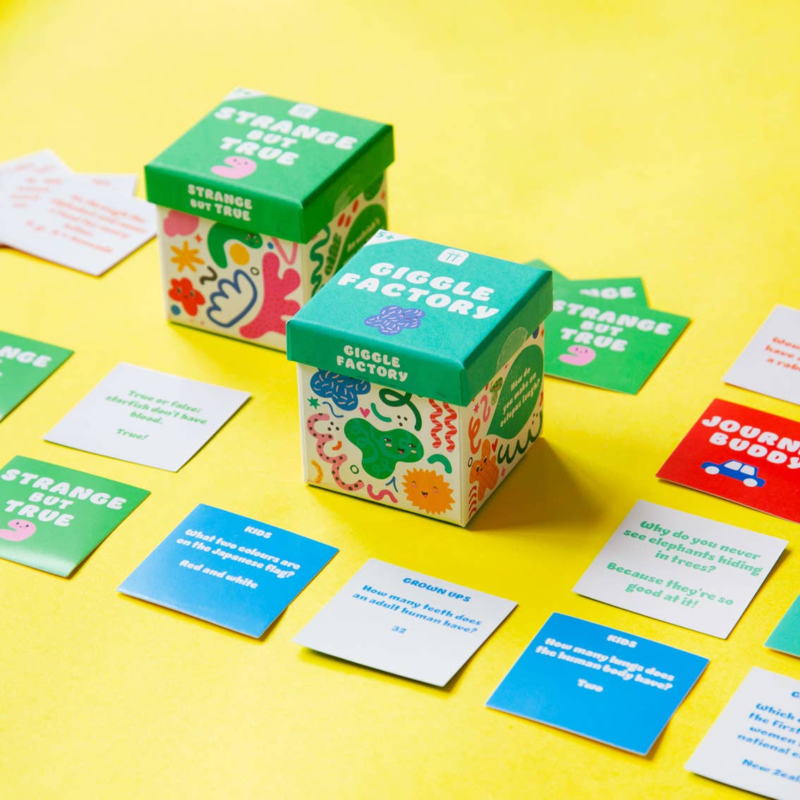 Kids Trivia and Games - Box Turtle