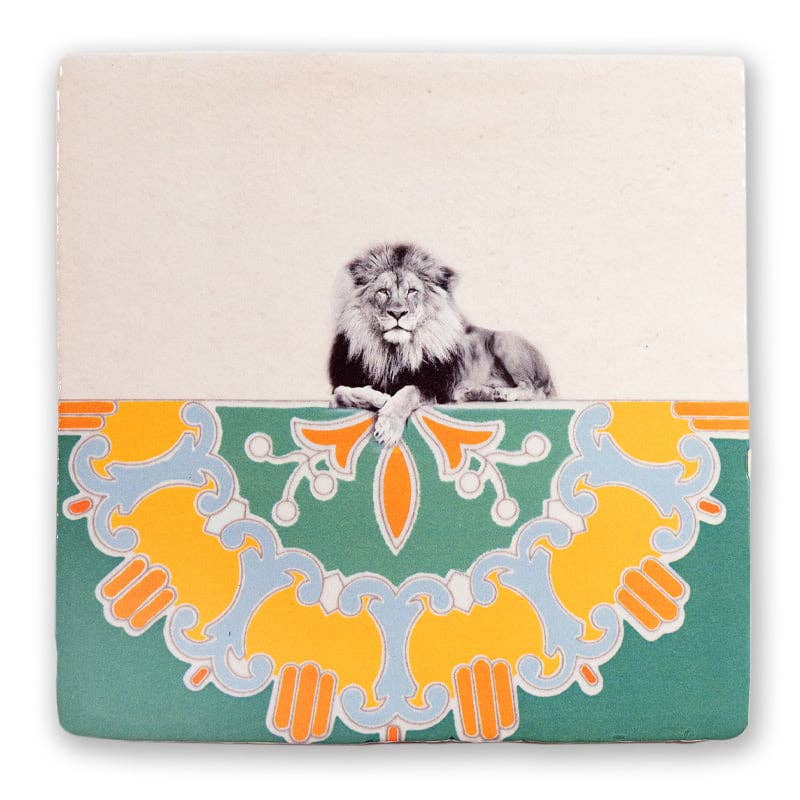 King StoryTile - Box Turtle