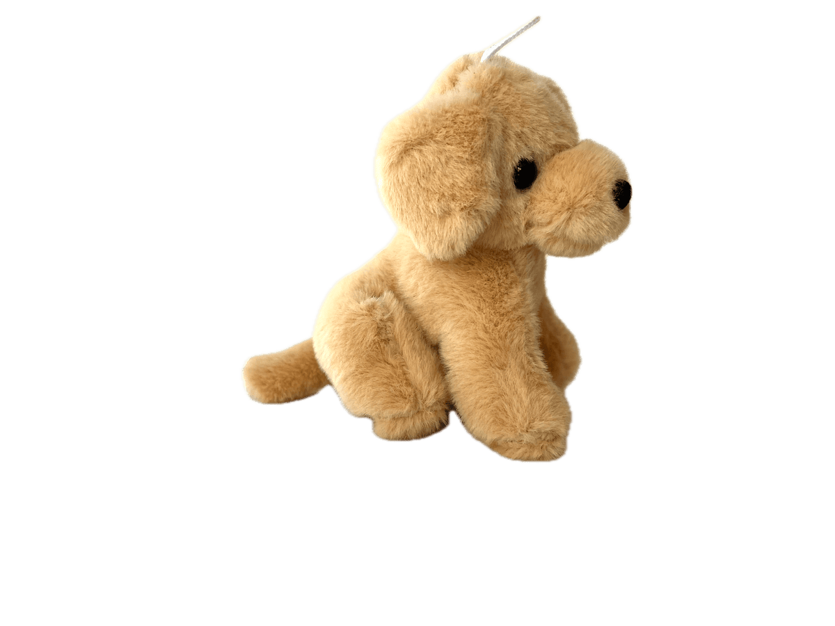 Lab Puppy Bag Charm - Box Turtle