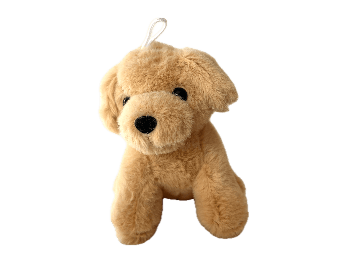 Lab Puppy Bag Charm - Box Turtle