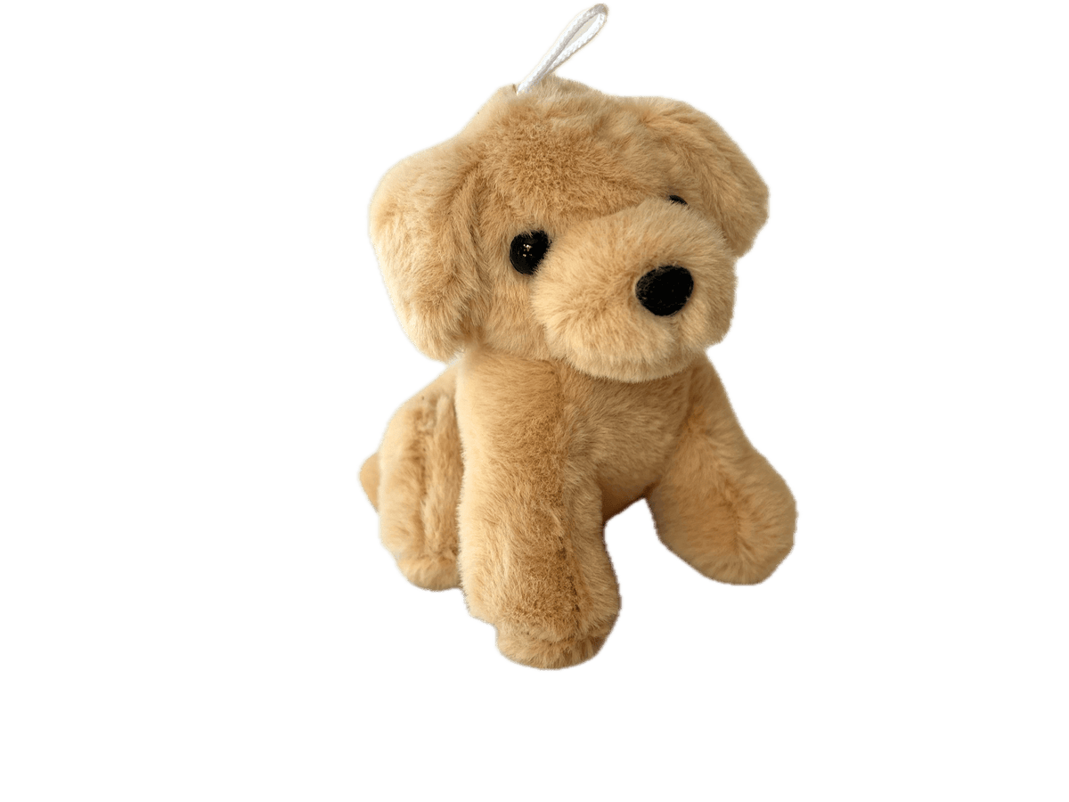 Lab Puppy Bag Charm - Box Turtle