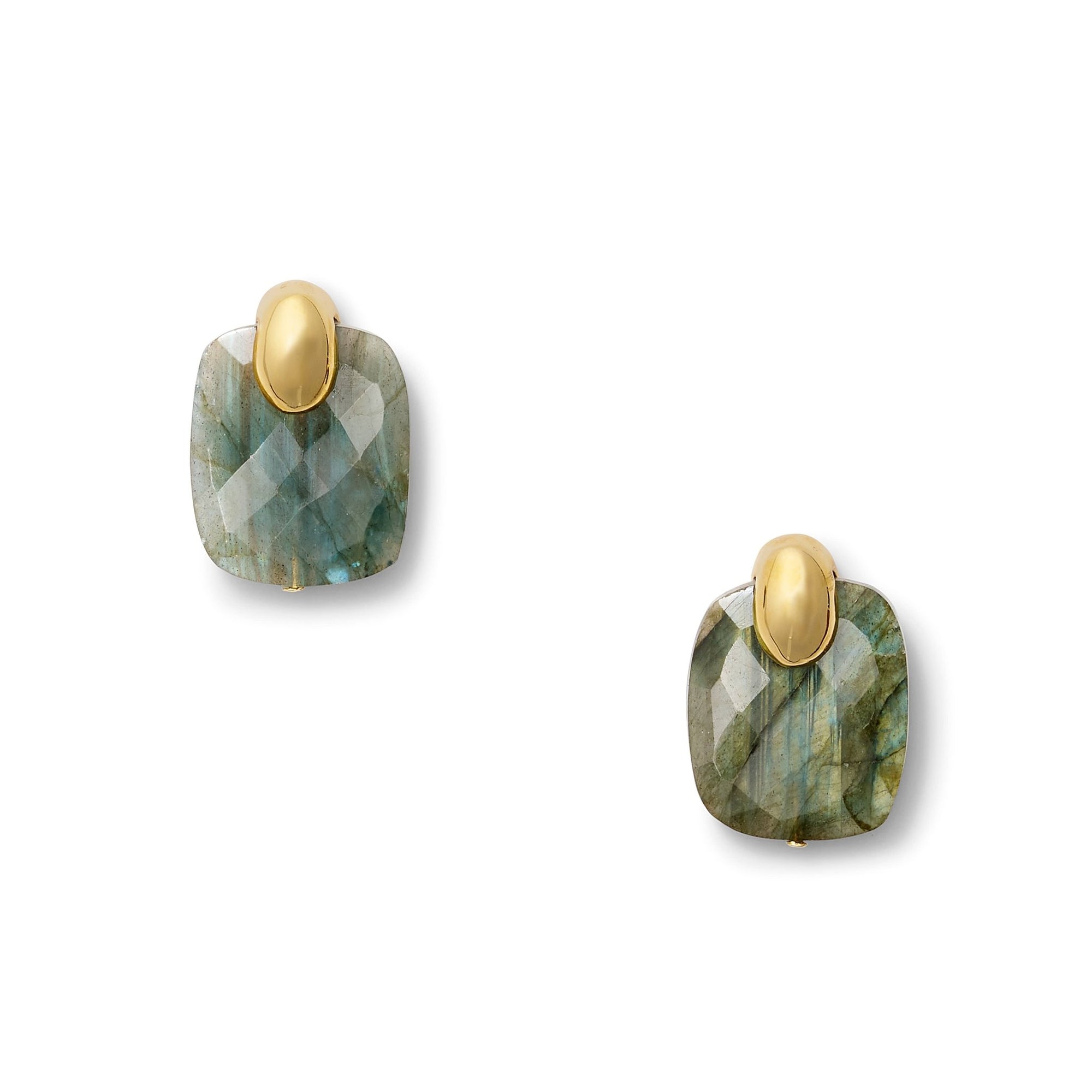 Labradorite Palazzo Earring - Box Turtle