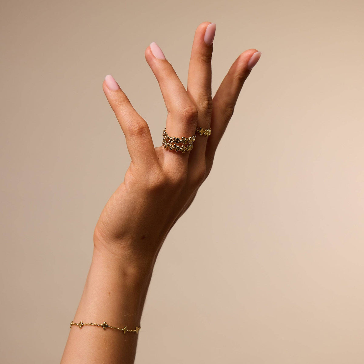 Laeta Bracelet - Box Turtle