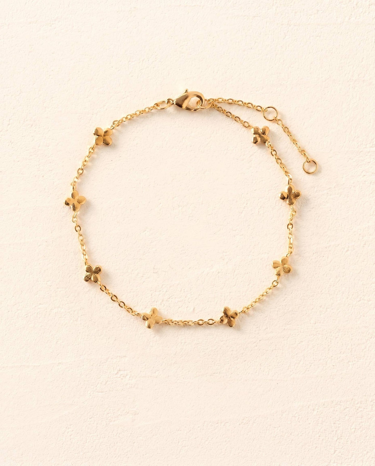 Laeta Bracelet - Box Turtle