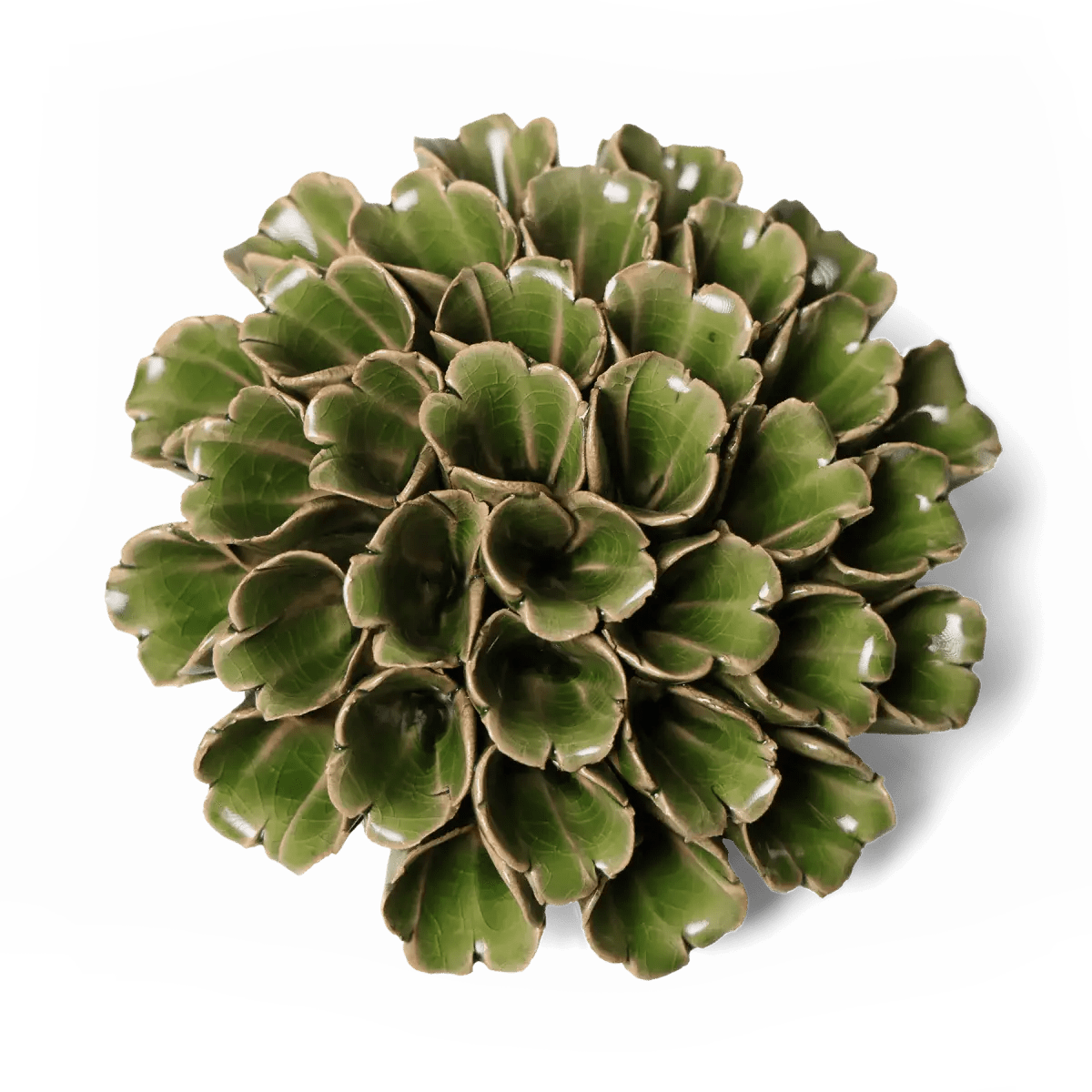 Large Green Polyp Ceramic Flower Art - Box Turtle