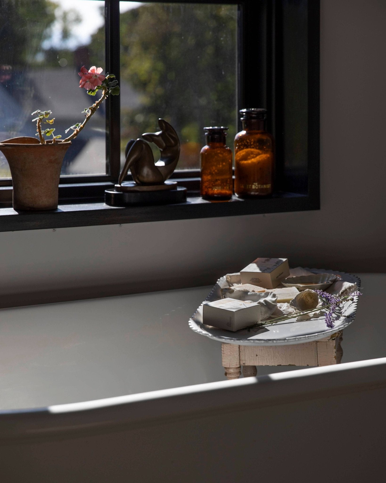 Lavender Fields - Bar Soap - Box Turtle