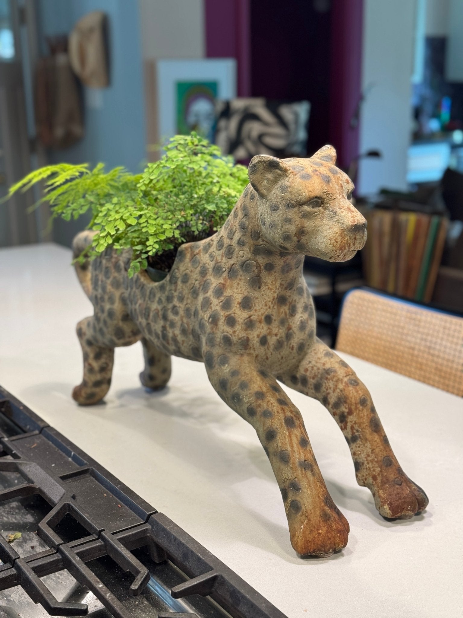 Box Turtle - Leopard Shaped Container