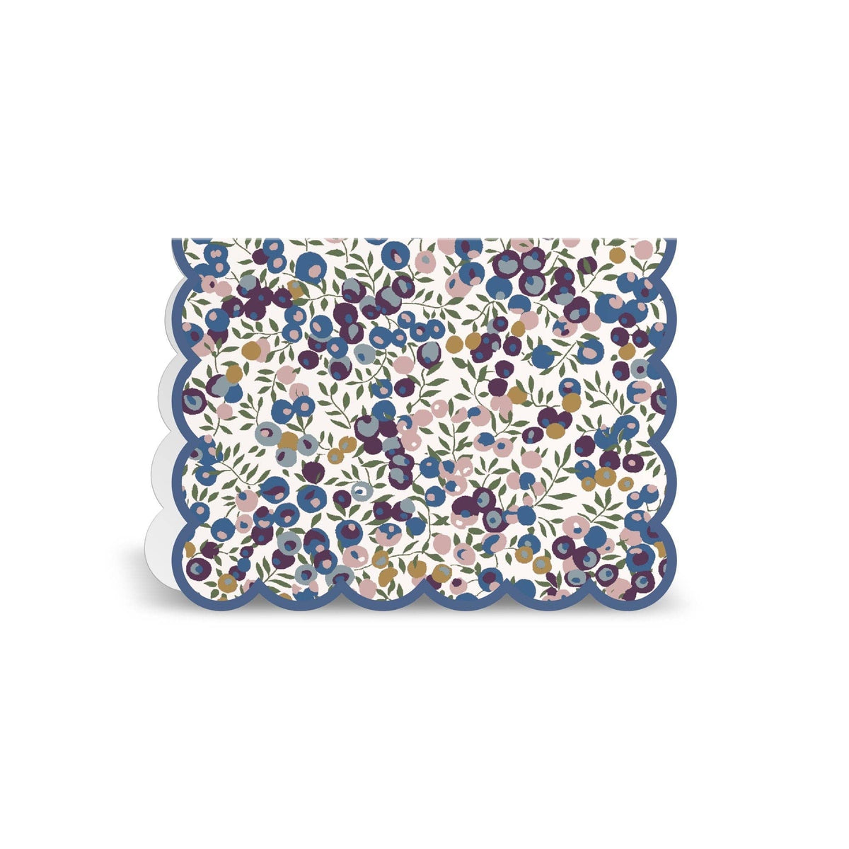 Liberty Premium Notecard Set - Box Turtle