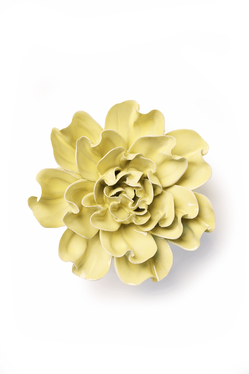 Lime Yellow Larkspur Ceramic Flower - Box Turtle