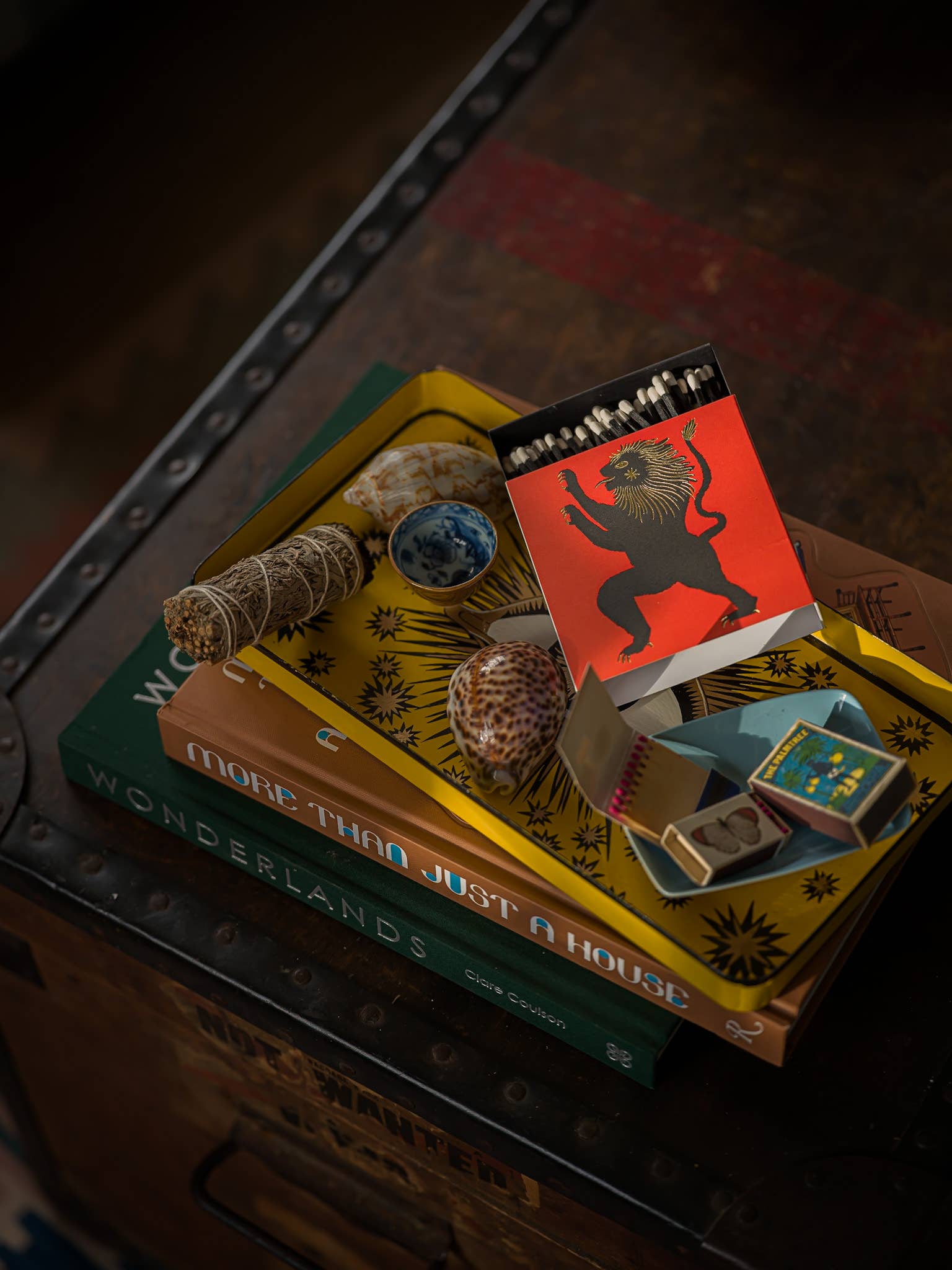 Lion - Safety Matches - Box Turtle