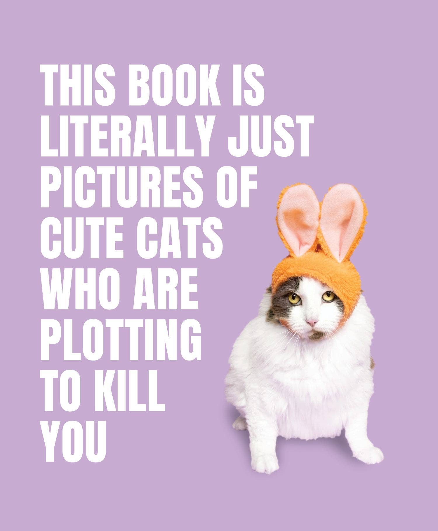 Literally Cute Cats Plot Kill - Box Turtle