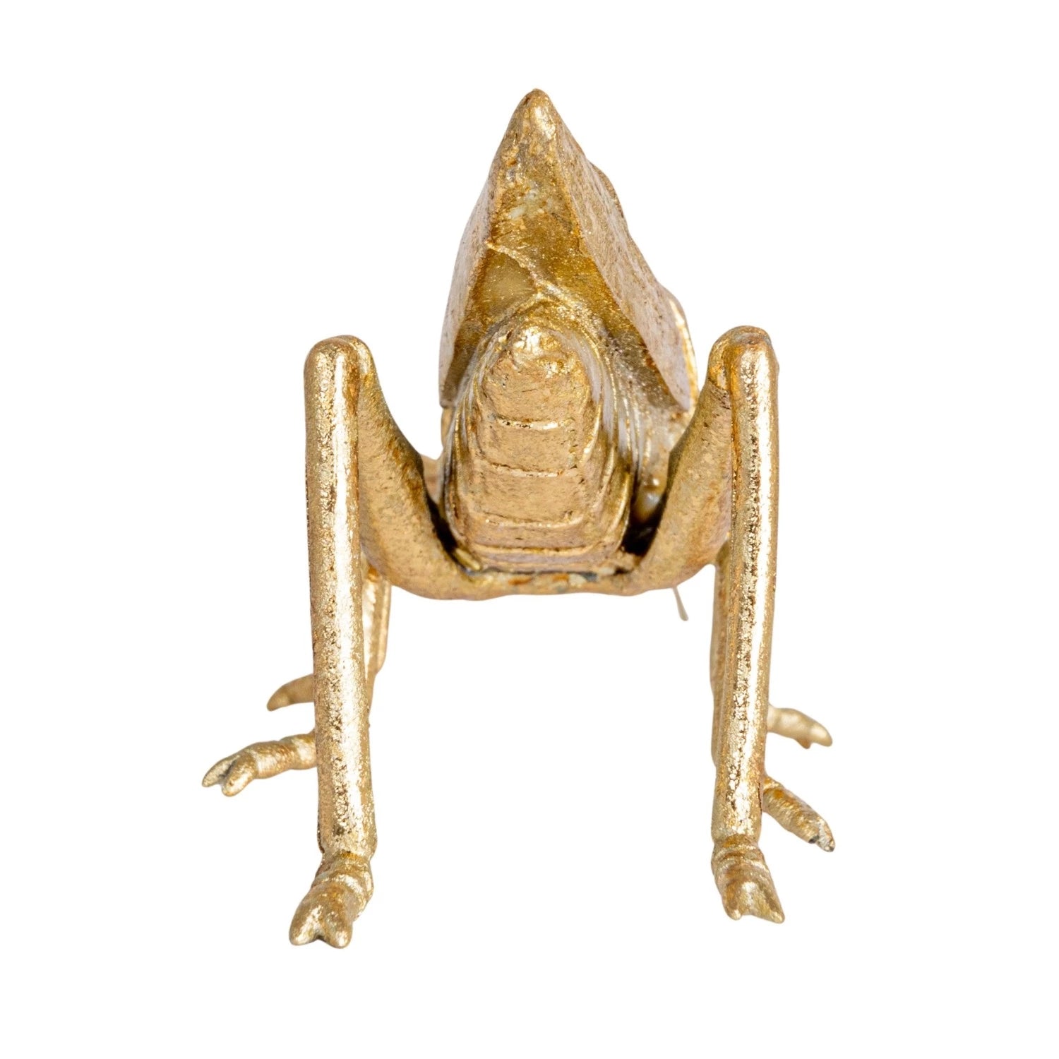 Little Gold Grasshopper - Box Turtle