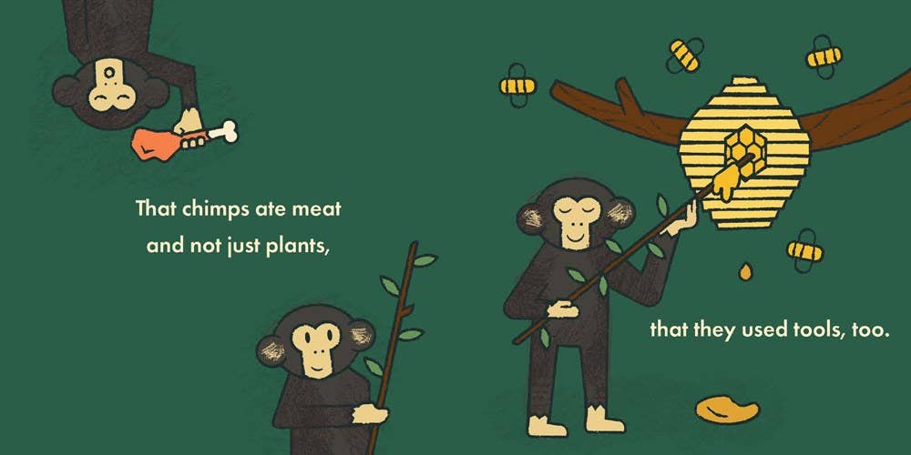 Little Naturalists: Jane Goodall Is a Friend to All - Box Turtle