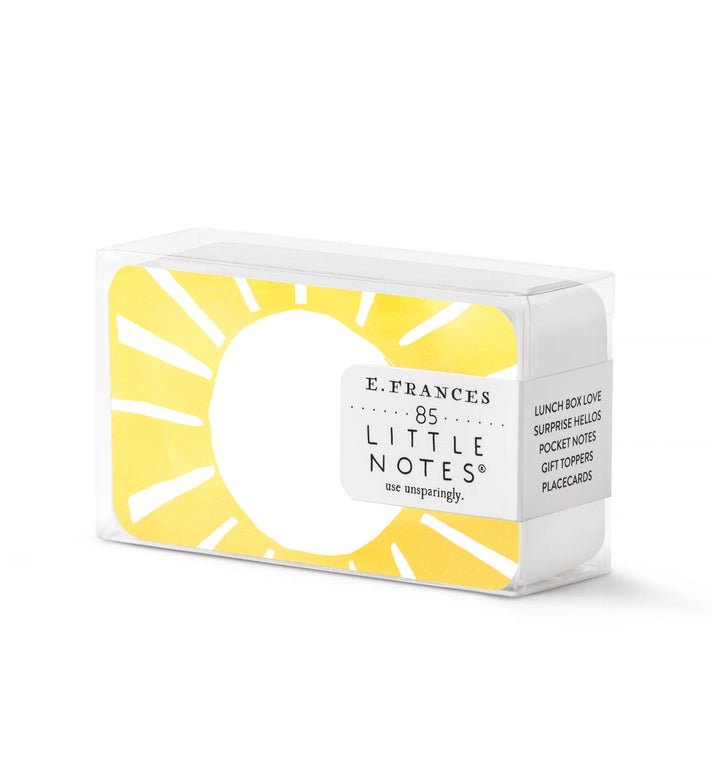 Little Notes Notecards - Box Turtle