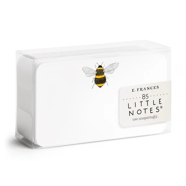 Little Notes Notecards - Box Turtle