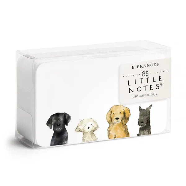 Little Notes Notecards - Box Turtle