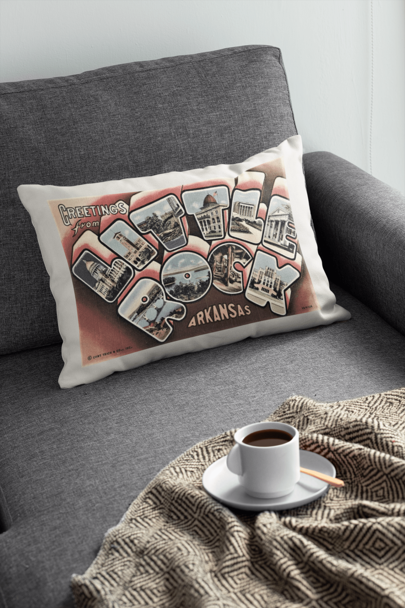 Little Rock Arkansas Vintage Postcard Pillow - Box Turtle