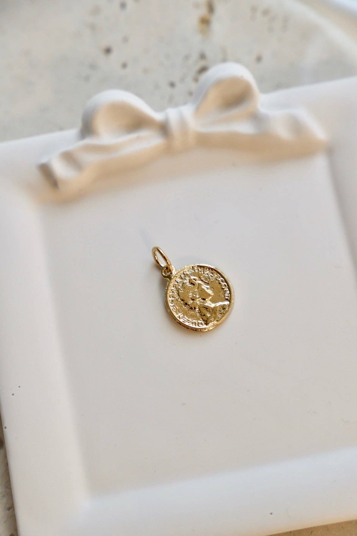 Lora Coin Charm - Box Turtle