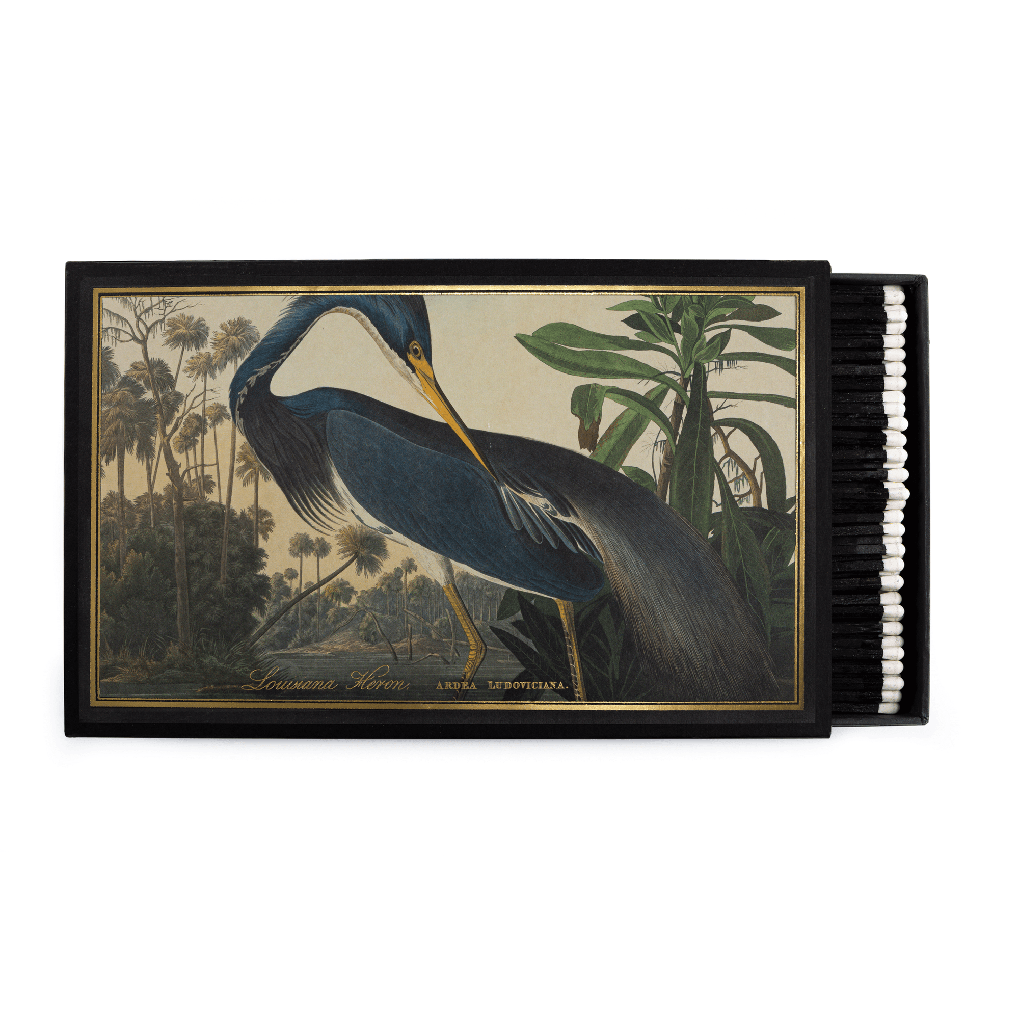 Louisiana Heron - Giant Safety Matches - Box Turtle