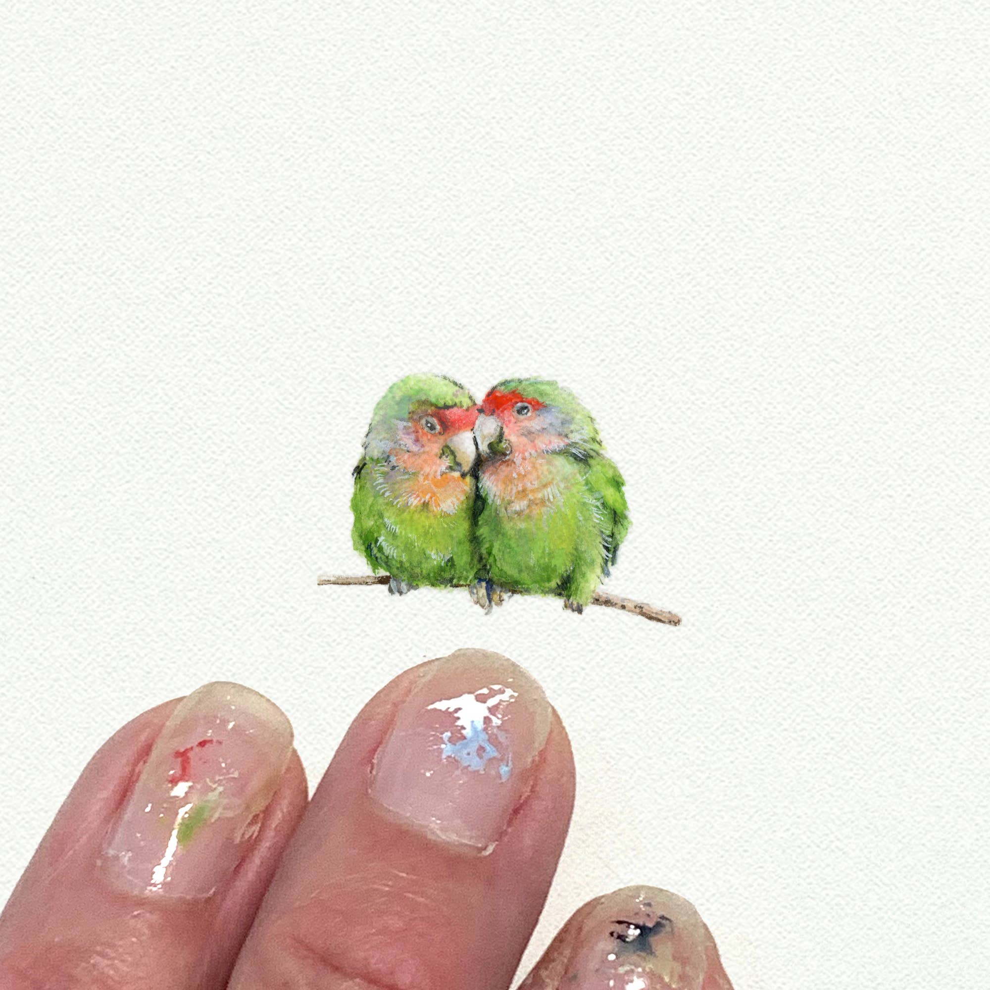 Love Birds Miniature Watercolor Print - Box Turtle