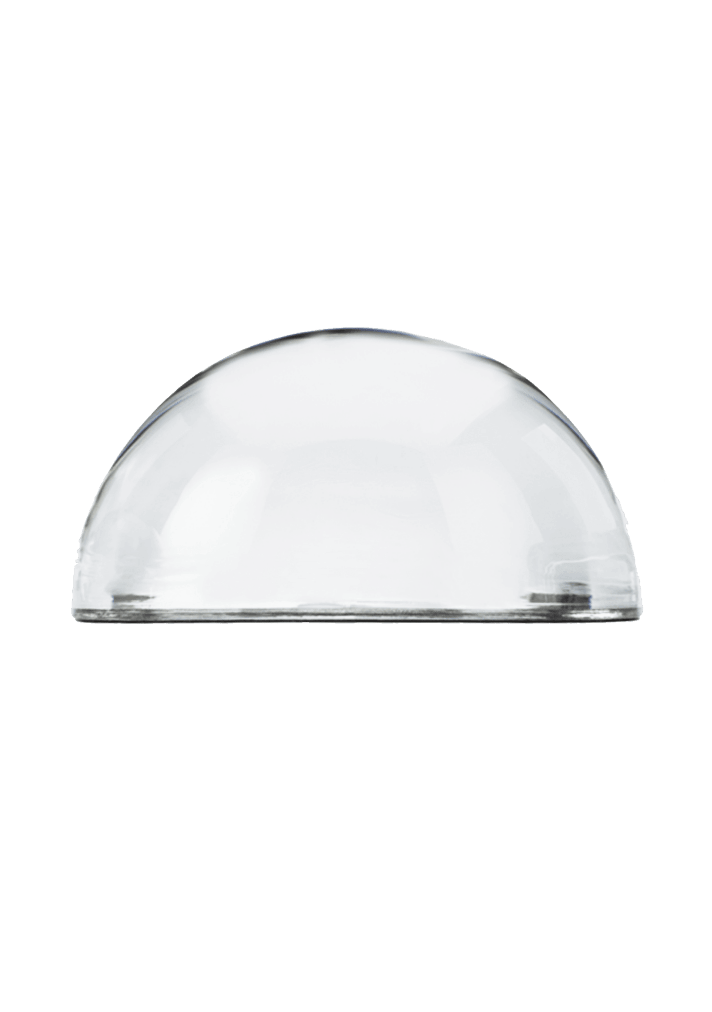 Love You More Crystal Paperweight - Box Turtle