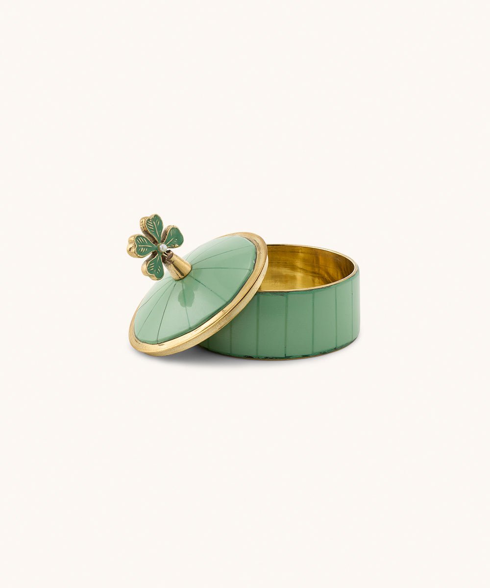 Lucky Clover Circus Box - Box Turtle