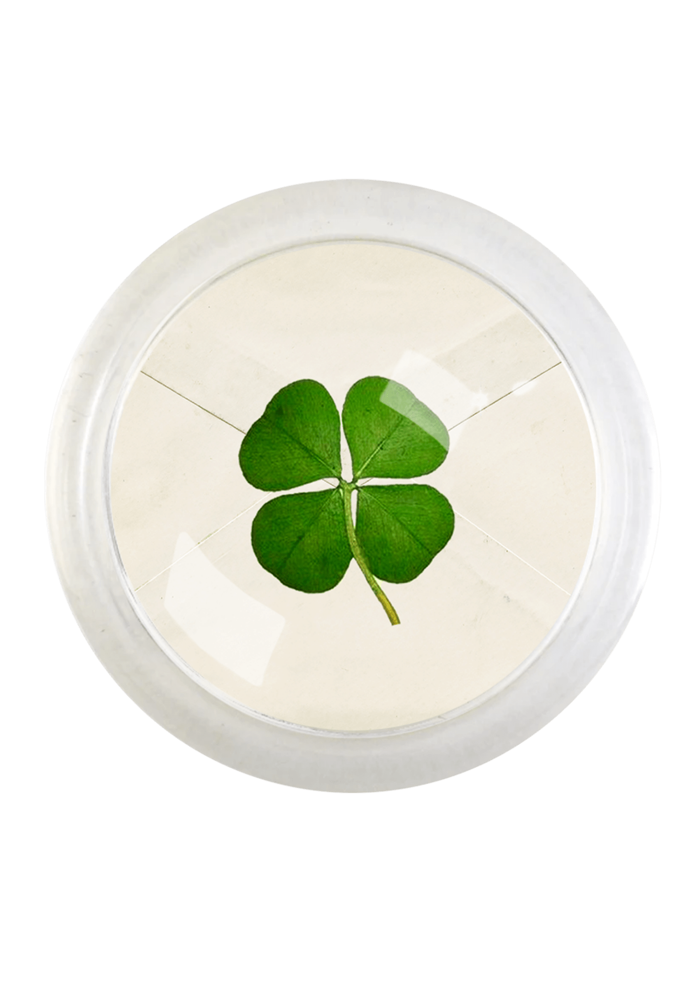 Lucky Clover Envelope Coaster - Box Turtle