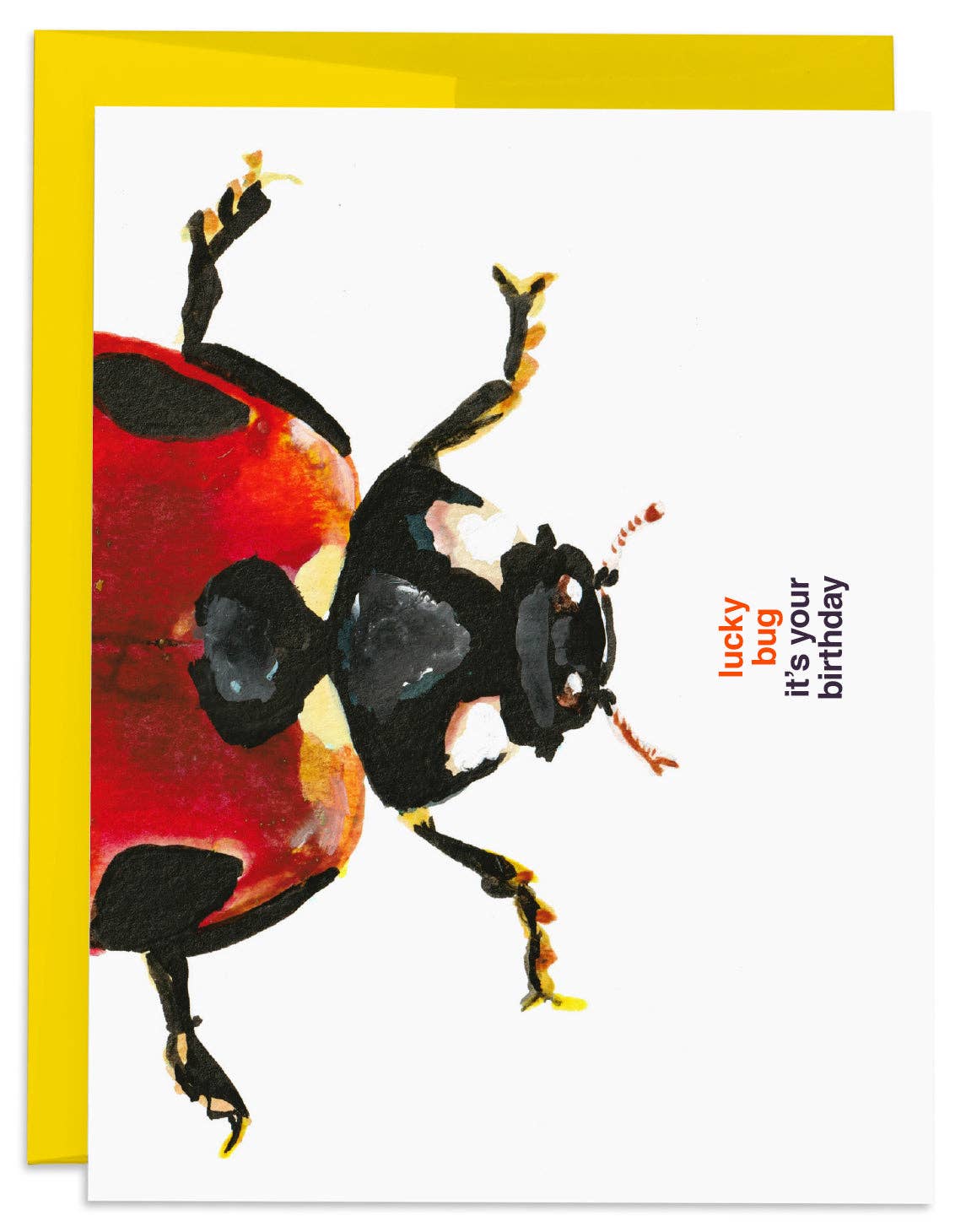 Lucky Ladybug Birthday Card - Box Turtle