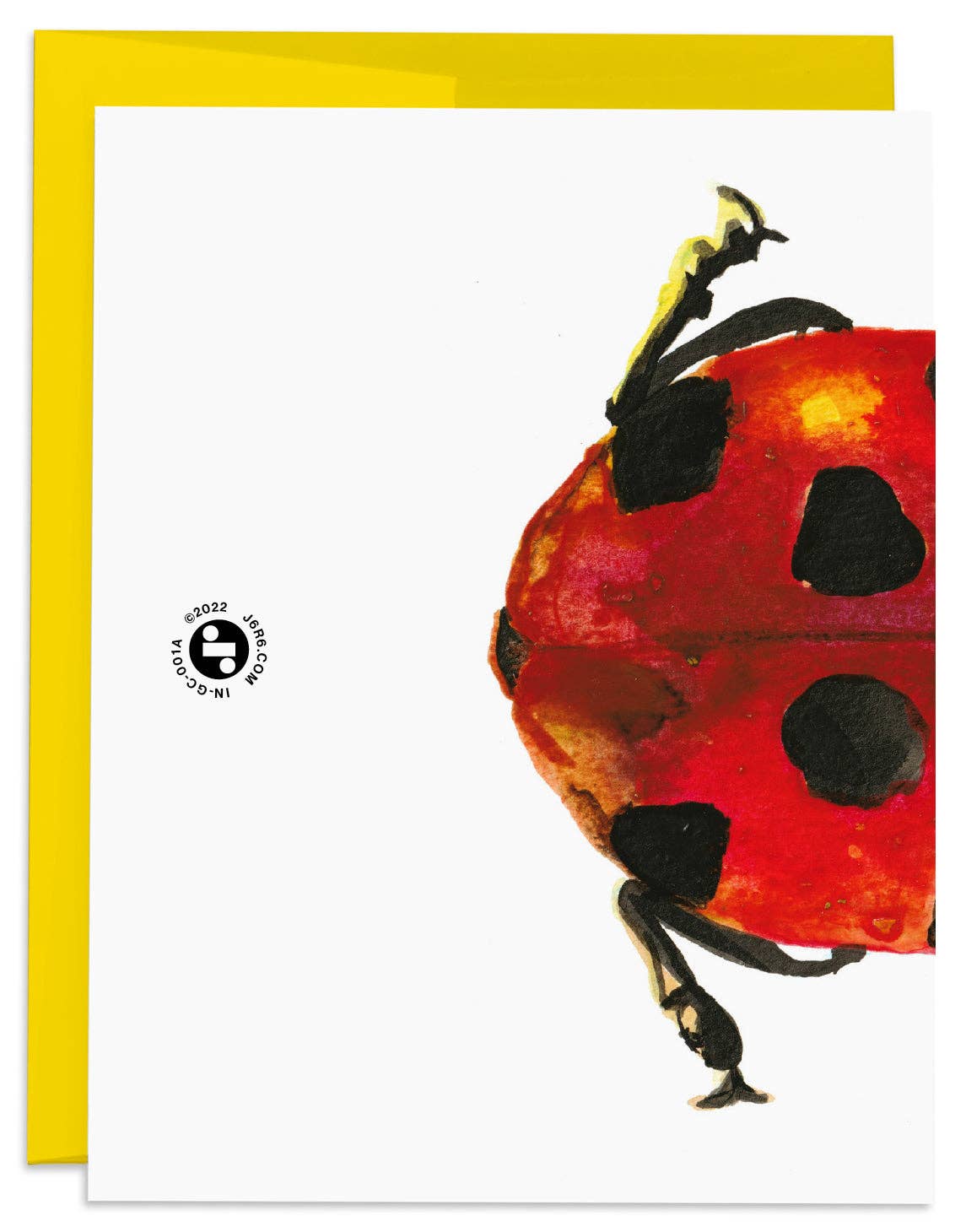 Lucky Ladybug Birthday Card - Box Turtle