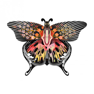 Madama Decorative Butterfly