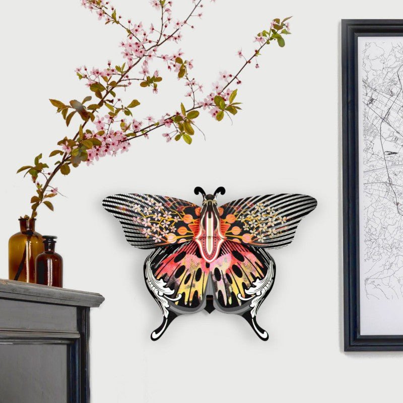 Madama Decorative Butterfly - Box Turtle