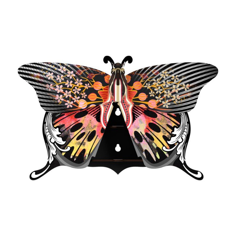 Madama Decorative Butterfly - Box Turtle