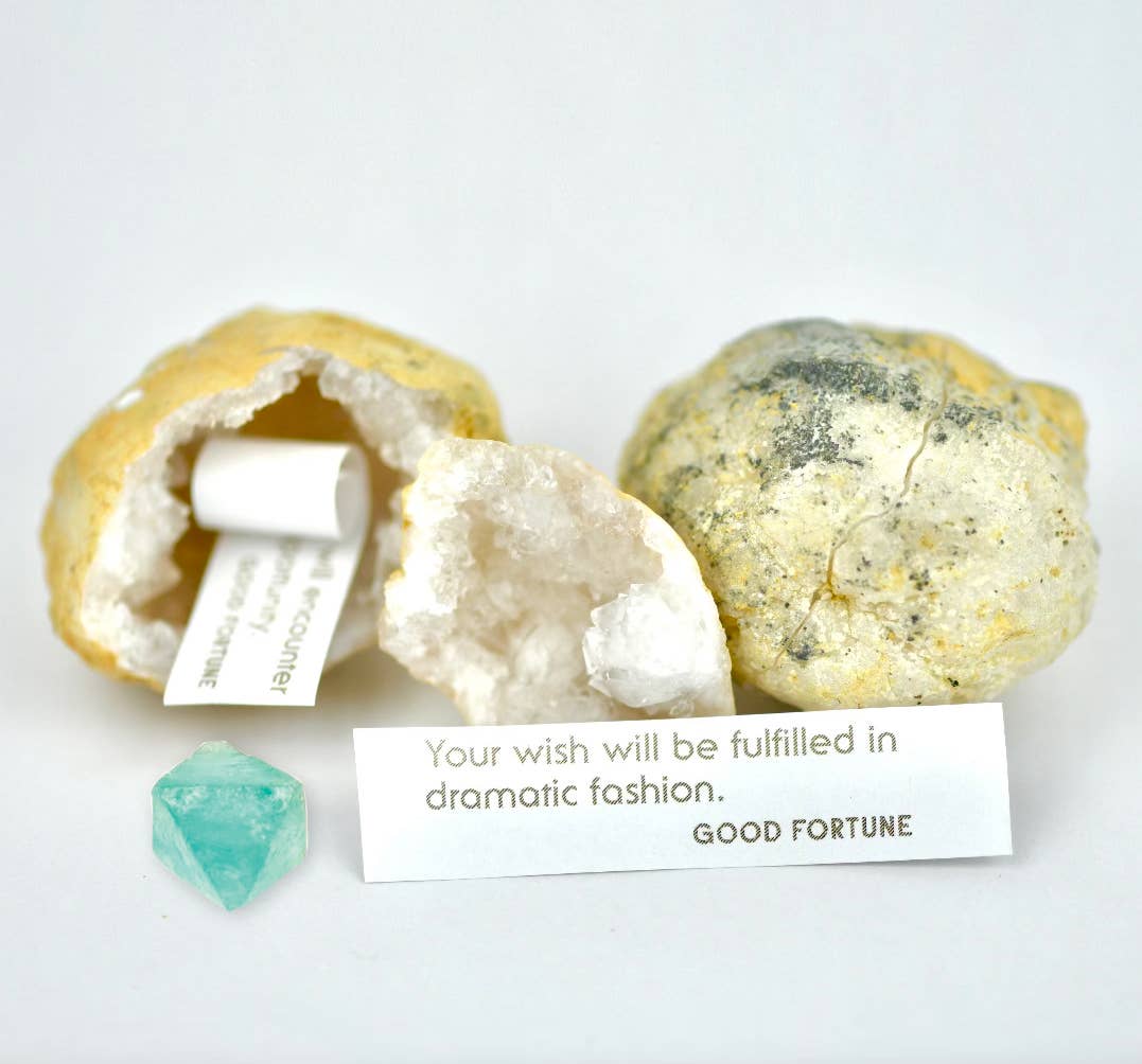 Magic Crystal Geode Surprise - Box Turtle