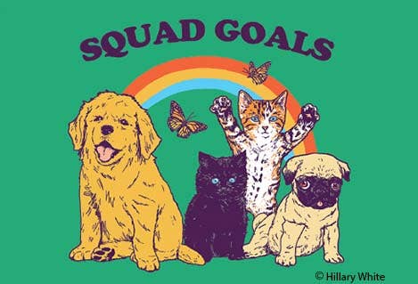 Magnet - Squad goals (animals) - Box Turtle