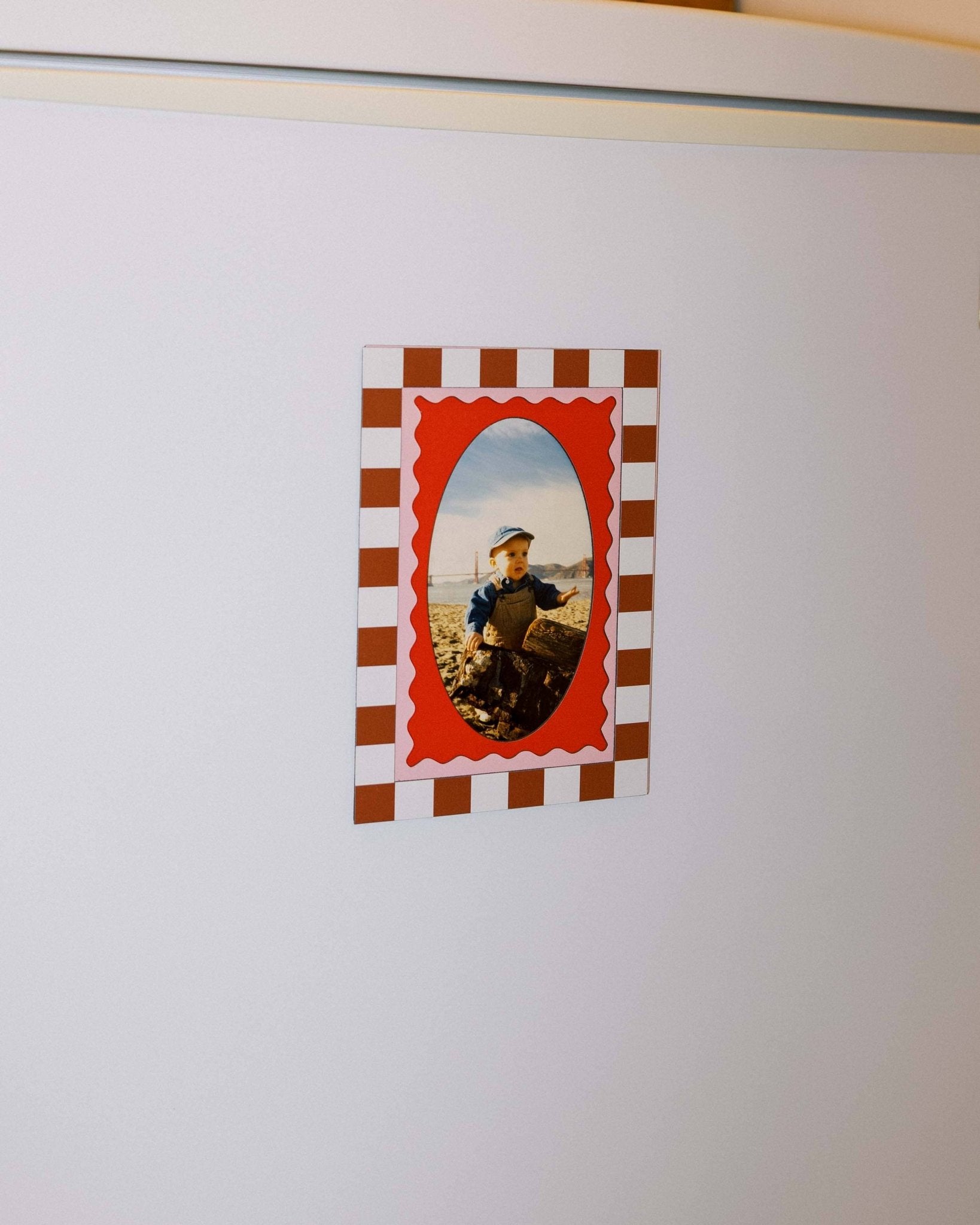 Magnetic Frames - Box Turtle