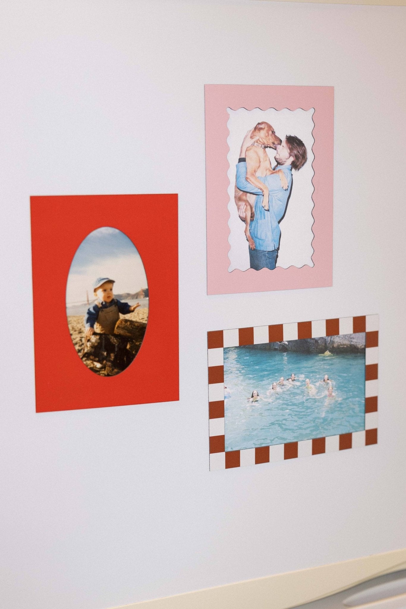 Magnetic Frames - Box Turtle