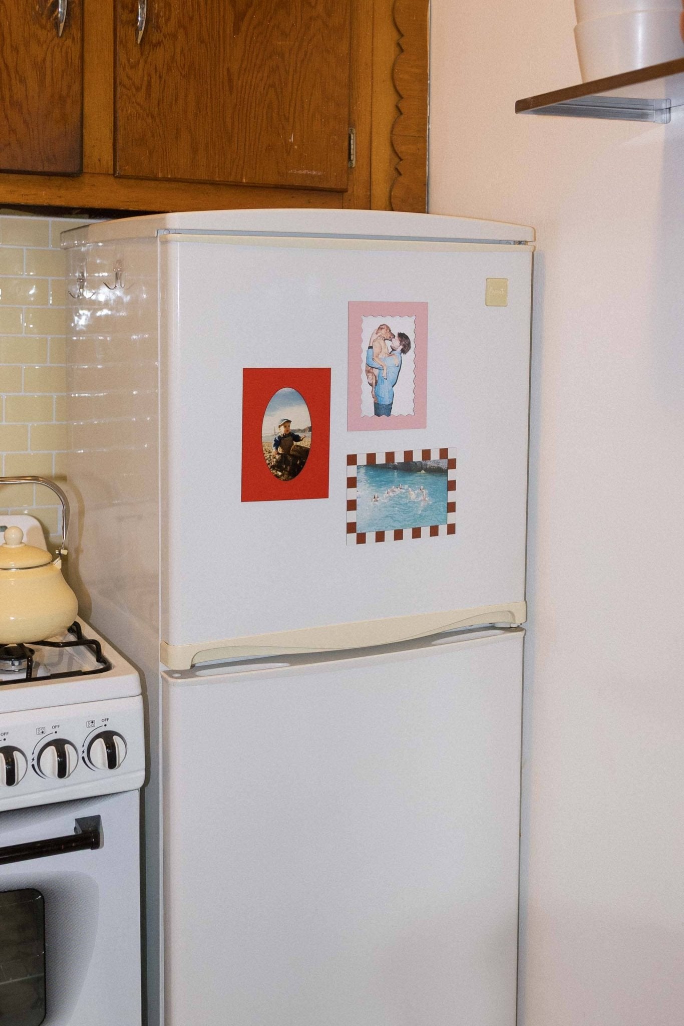 Magnetic Frames - Box Turtle