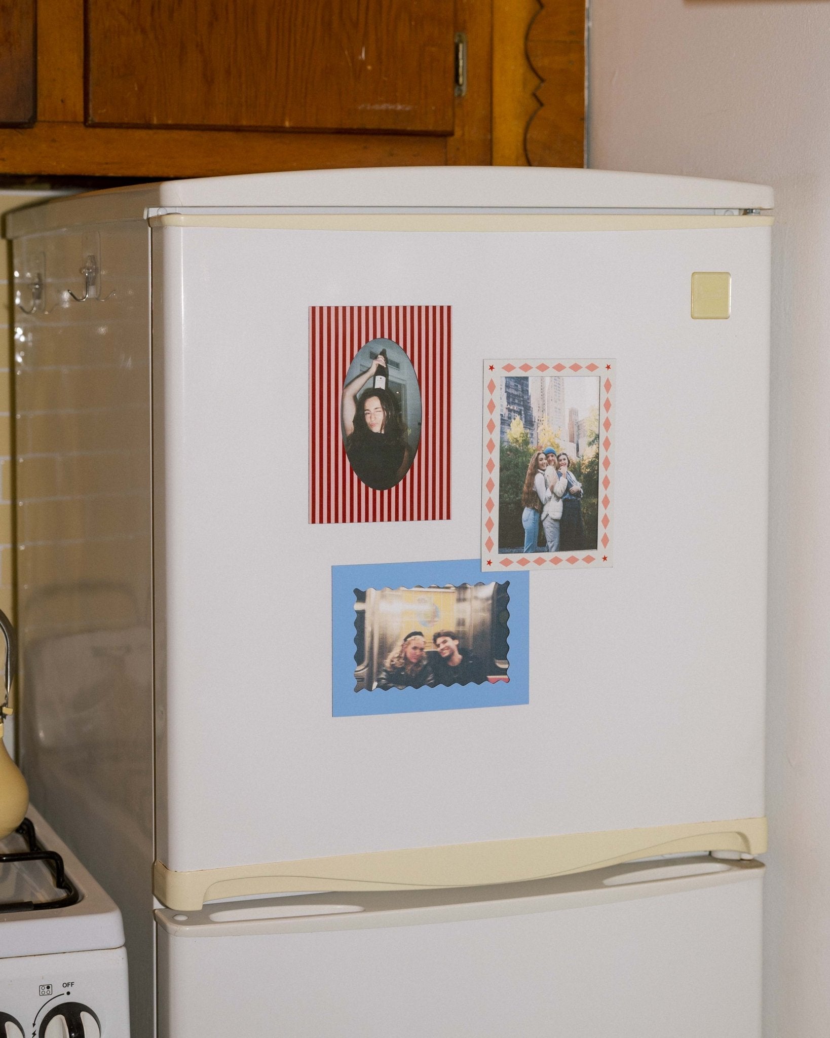 Magnetic Frames - Box Turtle